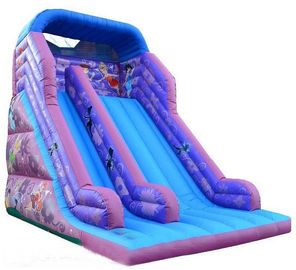 30ft Princess Inflatable Dry Slide , Faires Slide Purple Giant Bouncy Slide