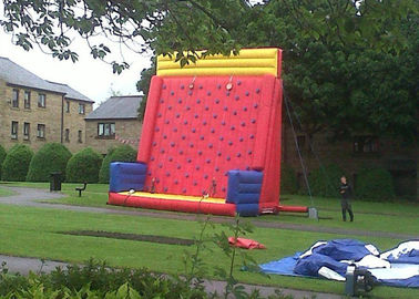 Safety Sports Inflatable Rock Climbing Wall Rentals On The Land With PVC Material