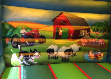 Big Farmyard Inflatable Bounce House With Slide For Young Teenagers