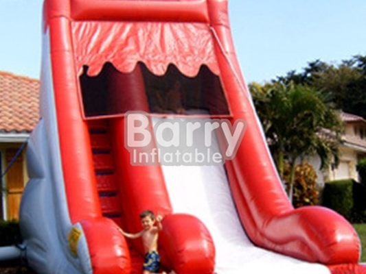 Red And White Big Kid Blow Up Inflatable Water Slides Flame Retardant