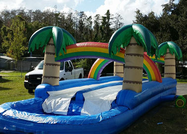 Tropical 34ft Long Inflatable Water Slides Rentals With Large Pool