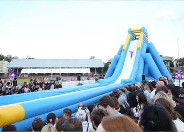 Customized Commercial Inflatable Water Slides , Blue Hippo Giant Inflatable Slide For Adult