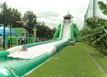 Hippo Giant Inflatable Water Slide For Adult , Comercial Slide Water Slip And Slide With Pool