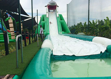 Hippo Giant Inflatable Water Slide For Adult , Comercial Slide Water Slip And Slide With Pool