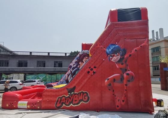 PVC Tarpaulin Beetles Girl Inflatable Water Slides Double Lanes With Pool