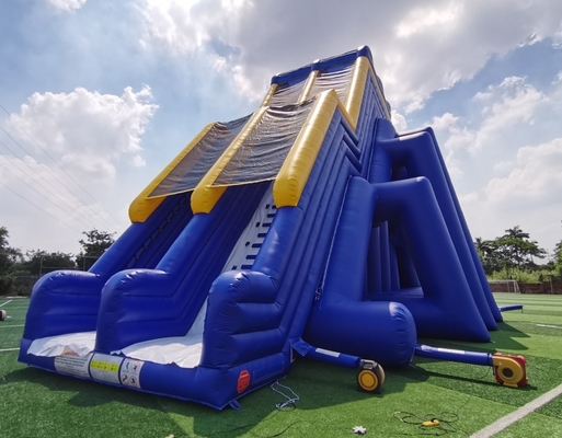 Giant Commercial Inflatable Water Slides Cartoon Theme For Adults