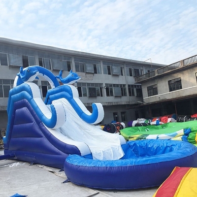 Blue Wave Inflatable water slides climbing wall With Pool Cartoon Theme