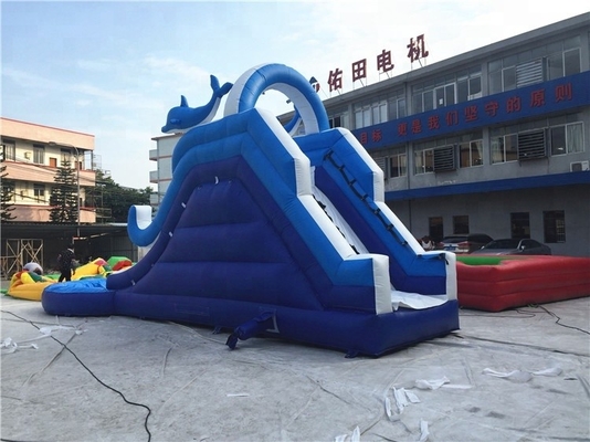 Blue Wave Inflatable water slides climbing wall With Pool Cartoon Theme