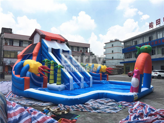 Backyard Inflatable Water Slides And Pool Bouncy Water Slides Customized