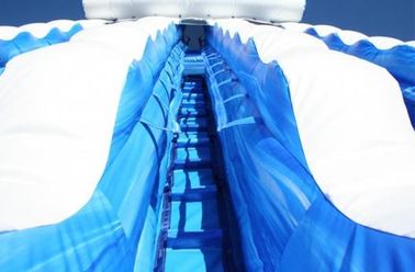 Blue 22 ft Dolphin Double lane Cali Ocean Inflatable Water Slides with PVC Tarpaulin Material