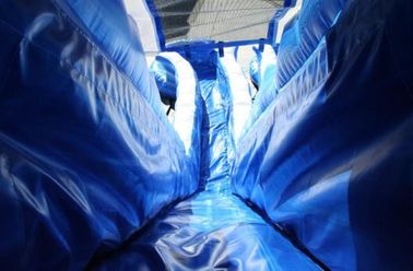 Blue 22 ft Dolphin Double lane Cali Ocean Inflatable Water Slides with PVC Tarpaulin Material