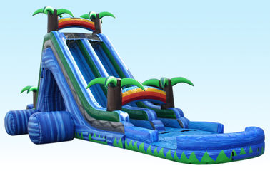 24Ft Wild Splash Slide , Blue Cliff Jungle Inflatable Double Lane Slide