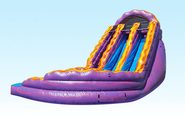 Purple And Orange Inflatable Curvy Water Slide Double Lane 0.55MM PVC Materila Slide