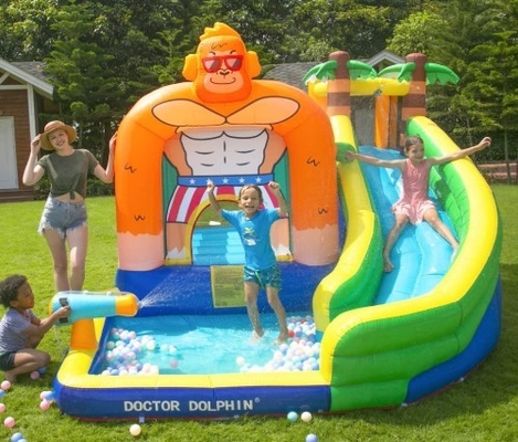 Doctor Dolphin Inflatable Water Slide For Toddler Water Bounce House With Splash Pool