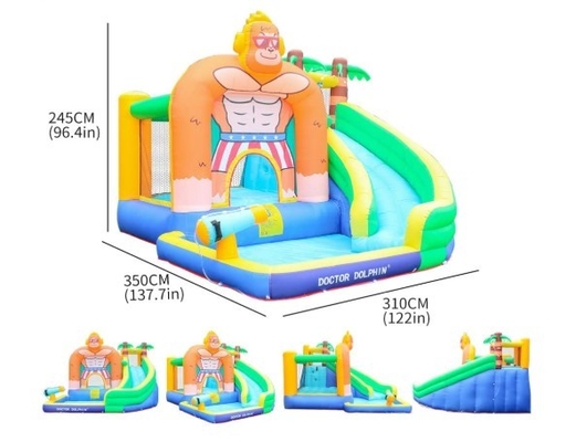 Doctor Dolphin Inflatable Water Slide For Toddler Water Bounce House With Splash Pool