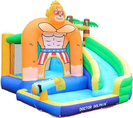 Doctor Dolphin Inflatable Water Slide For Toddler Water Bounce House With Splash Pool