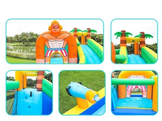 Doctor Dolphin Inflatable Water Slide For Toddler Water Bounce House With Splash Pool