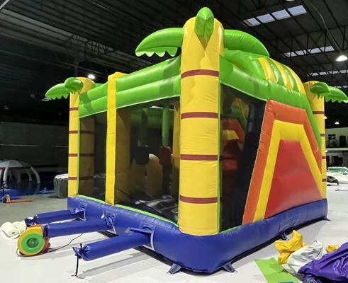 PVC Tarpaulin Inflatable Bouncy Castles Inflatable Jumping House Lion Design