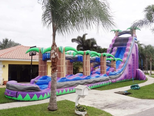 Colorful Commercial Cartoon Inflatable Water Slides With Pool Large Water Slide Rentals