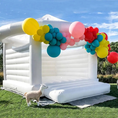 5x4.5m Backyard Inflatable Bouncer Jumping Wedding Bounce House