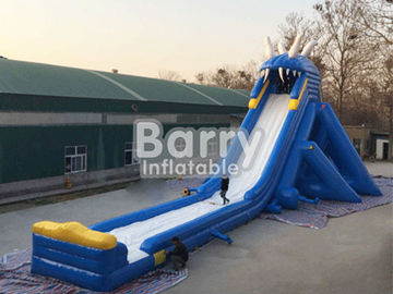 Professional Hippo Giant Inflatable Water Slide Customized Size With Water Pool