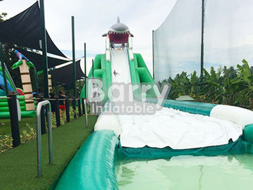 Professional Hippo Giant Inflatable Water Slide Customized Size With Water Pool