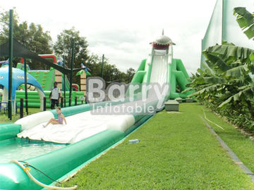 Professional Hippo Giant Inflatable Water Slide Customized Size With Water Pool