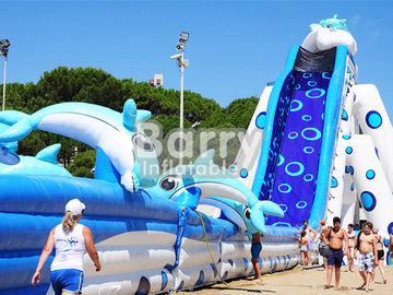 Blue Animal Giant Dolphin Inflatable Water Slide Adult Size Huge Inflatable Slides