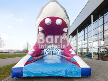 Durable Plato PVC Tarpaulin Inflatable Water Slides For Summer Inflatable Game