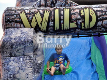 Safety Wild Rapids Inflatable Water Slides With Swimming Ring / Air Blower