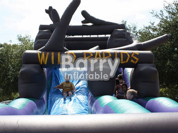 Safety Wild Rapids Inflatable Water Slides With Swimming Ring / Air Blower