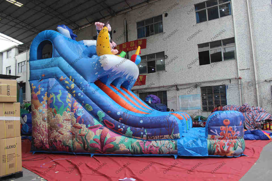 Backyard Inflatable Water Slides Double Lane Water Slide With Swimming Pool