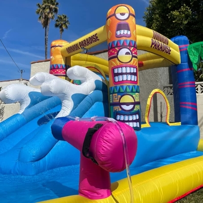 Commercial Grade Inflatable Jumping Castle With Slide Backyard Waterslide With Water Cannon