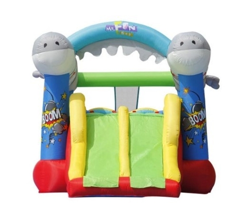 0.55mm PVC Inflatable Bouncer Castle Flying Fish Double Slide Bounce House Rentals