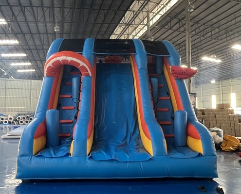 0.55mm PVC Commercial Inflatable Water Slides Renting Inflatable Slides