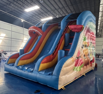 0.55mm PVC Commercial Inflatable Water Slides Renting Inflatable Slides