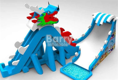 Customize PVC Adult Dragon Giant Inflatable Slide Blow Up Slip And Slide