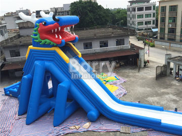 Adult Inflatable Water Slide