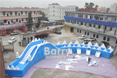 Customized Seals Tooth Inflatable  Summer Blow Up Water Slides