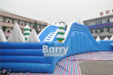 Customized Seals Tooth Inflatable  Summer Blow Up Water Slides