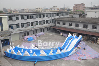 Customized Seals Tooth Inflatable  Summer Blow Up Water Slides