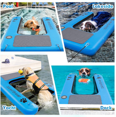 Help Dog Getting Out Of Water With Inflatable Ramp For Dogs Pool Dog Ramp For Pools, Boats, Docks