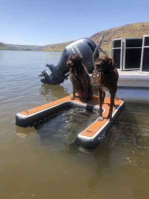 Portable Adjustable Folding Dog Ramp Inflatable Dog Dock Ramp Stair Pets Dog Ramp For Pools, Lakes, Boats And Docks