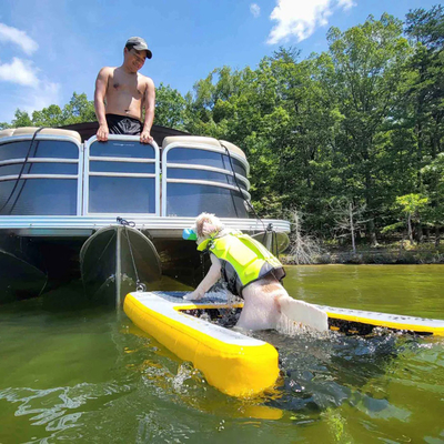 Extra Large Inflatable Water Ramp For Boat,Dog Pool Inflatable Light Dog Ramp Soft Ladder For Dogs, Rung Platform