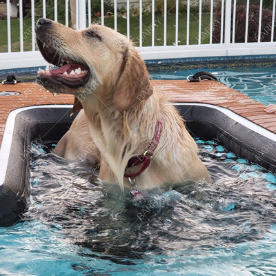 Inflatable Non-Slip Pets Foldable Pup Plank Pet Ramp Floating On Water Dock Platform For Pet