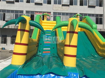 Kids Inflatable Water Slides