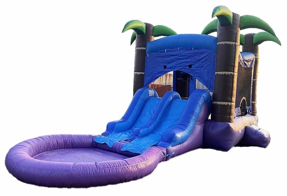 Customized Combo Bouncer With 2 Slides And  Pool Wet Or Dry Jumping Castle With Water Slide