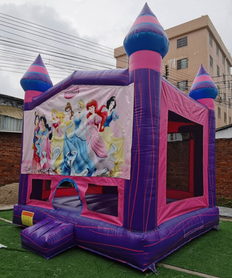 Free Design Princess Bounce House For Sale Jumping Castle Commercial