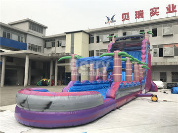 Purple Adult Kids Inflatable Water Slides With Pool , 