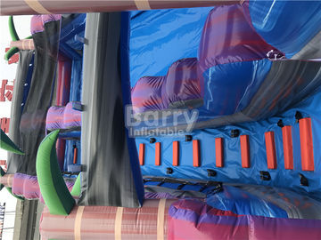 Purple Adult Kids Inflatable Water Slides With Pool , 